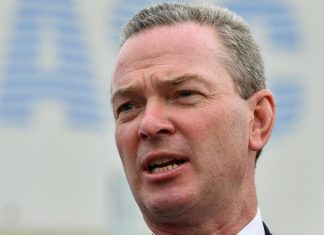 Minister to visit Japan, China and Singapore christopher pyne portrait high res