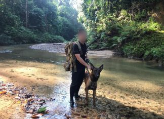 SPECIALIST K9 UNITS DEPLOYED TO SOUTH EAST ASIA IN RESPONSE TO SURGE IN ILLEGAL WILDLIFE TRAFFICKING K9 Unit Image 2