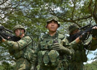 Defense Security Cooperation Agency Singapore – Munitions and Follow-On Training and Sustainment for PEACE Army 1920x930 1