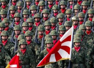 Japan looks to maintain interoperability with US and NATO countries 226072